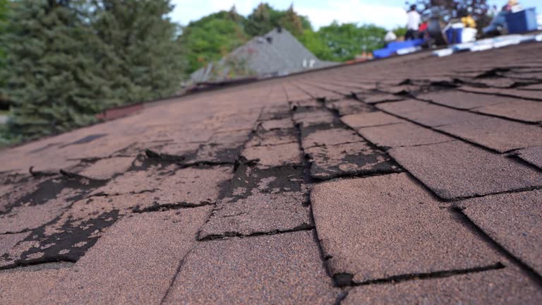 Best Roofing for New Construction  in Edgewood, IN
