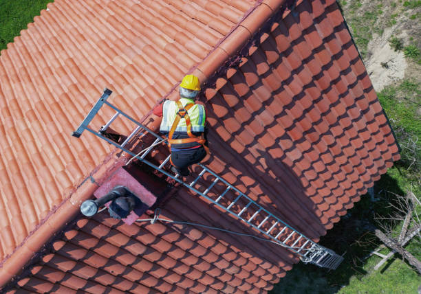 Best Asphalt Shingles Roofing  in Edgewood, IN
